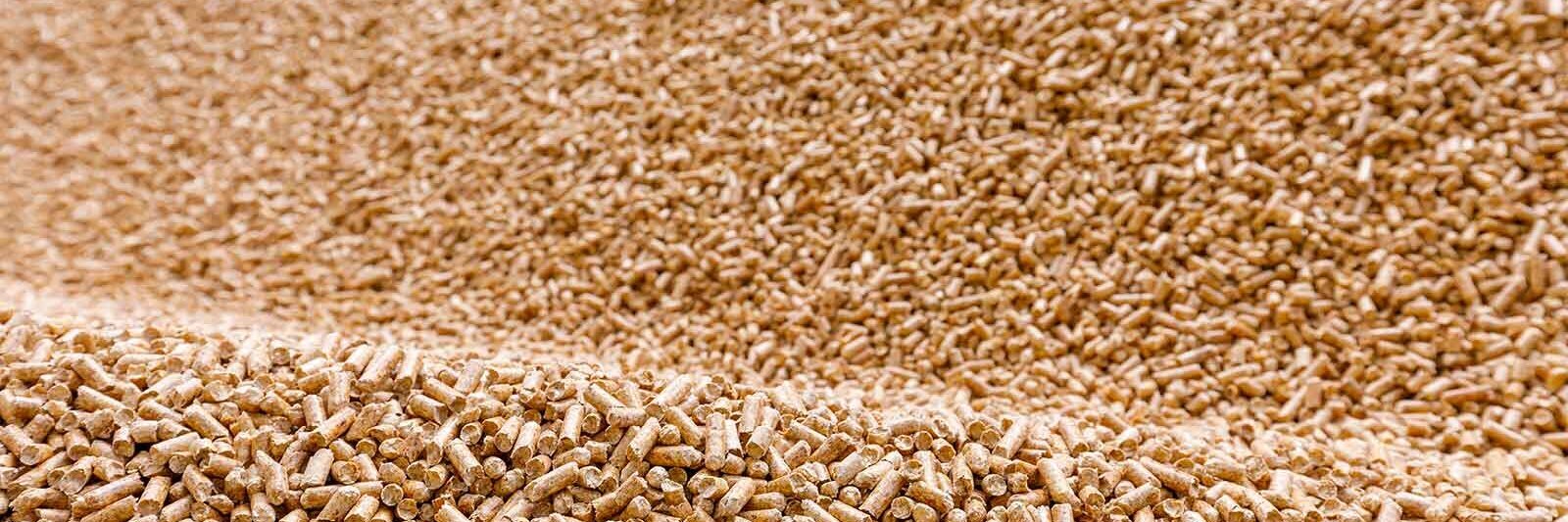 Wie eine Wüstendüne: Ein großer Haufen Holzepellets in der Sonne - mit starken Vorteilen