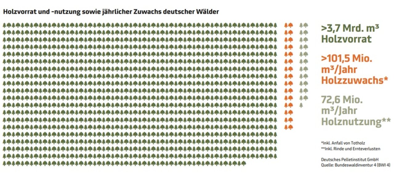 Grafik Nachhaltige Forstwirtschaft mit Holzvorräten, Holzzuwachs und Holzverbrauch nach Bundeswaldinventur